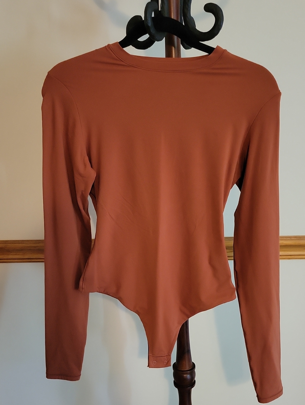 SKIMS Fits Everybody Long Sleeve Crew Neck Thong Bodysuit Terracotta Rust